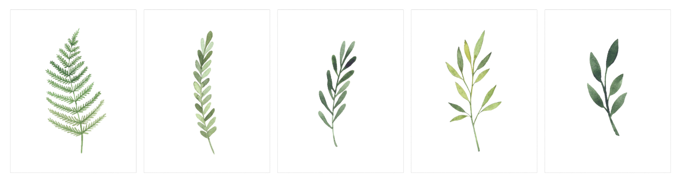 Blank Notecards