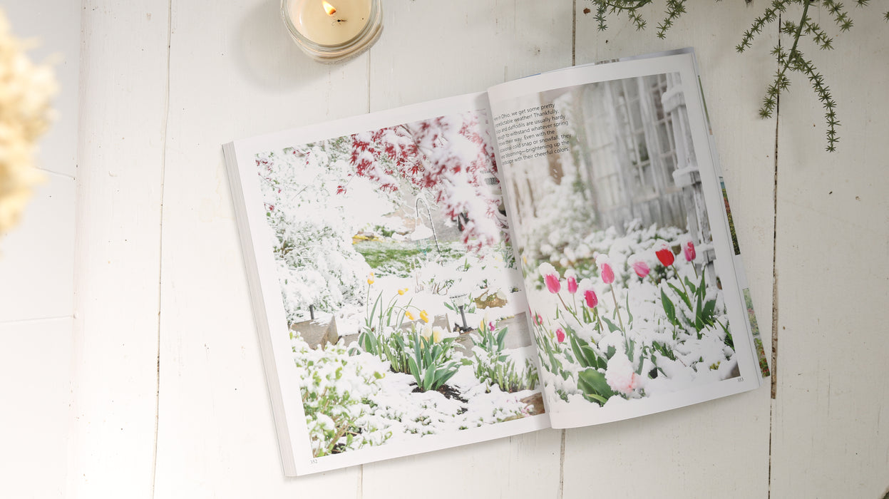 White Cottage Life Book