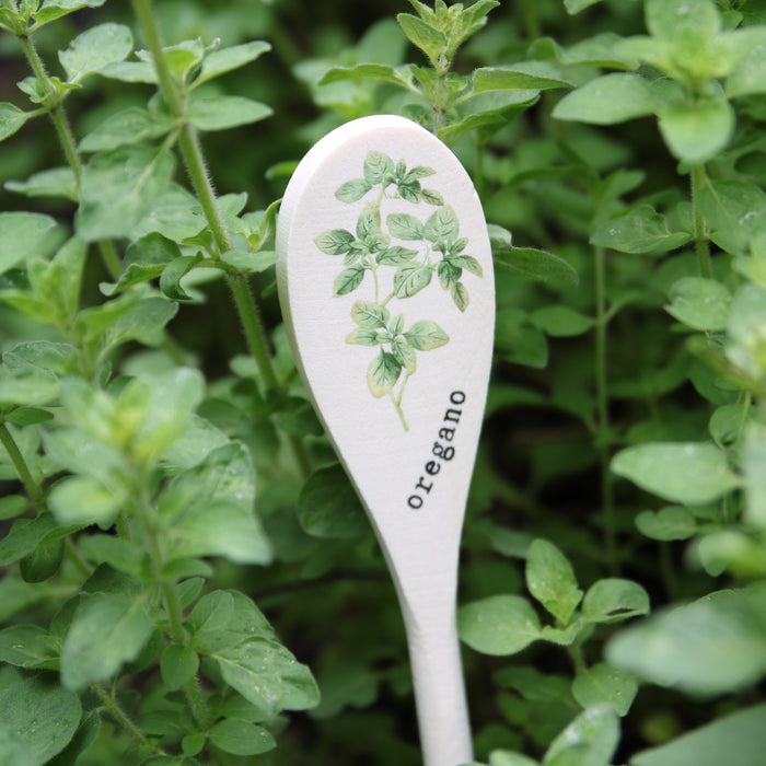 Wooden Spoon Herb Stakes