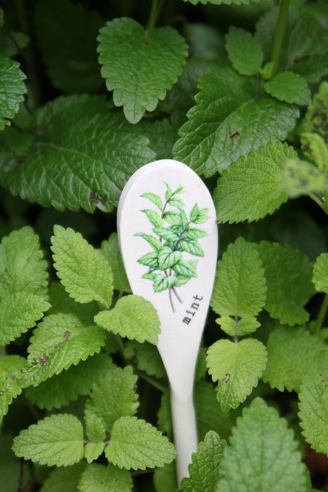 Wooden Spoon Herb Stakes