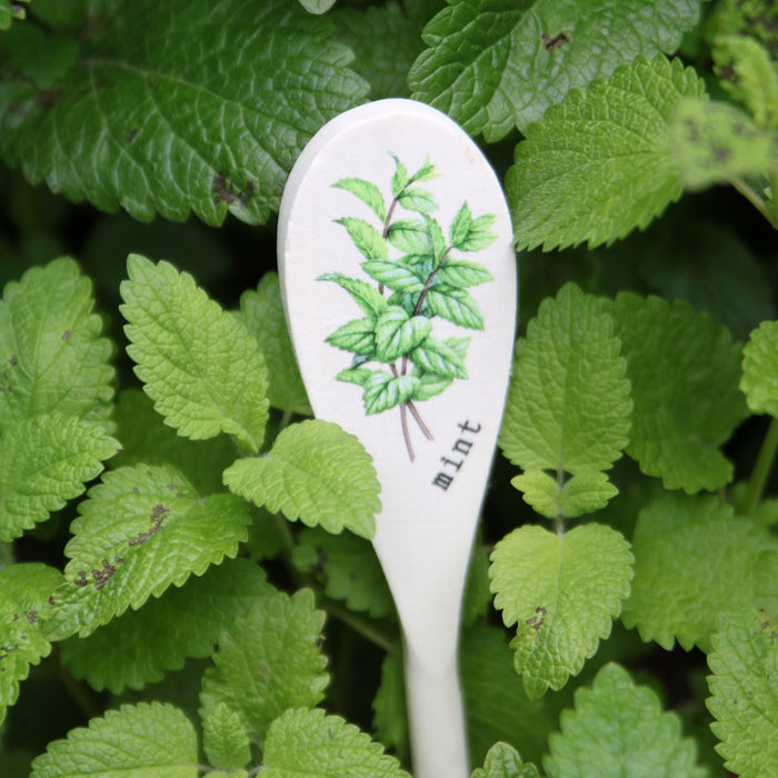 Wooden Spoon Herb Stakes