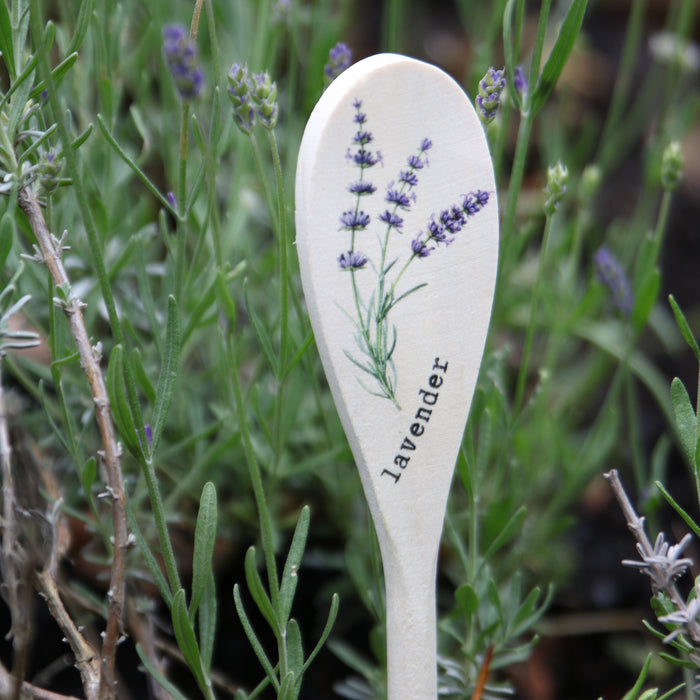 Wooden Spoon Herb Stakes