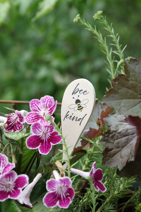 Wooden Spoon Plant Stakes