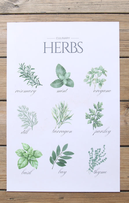 Herb Poster